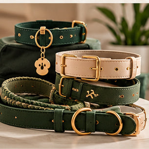 Collars, Leashes & Accessories