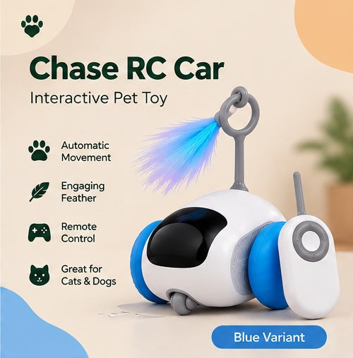 PAWRIQA Chase RC Car blue product image