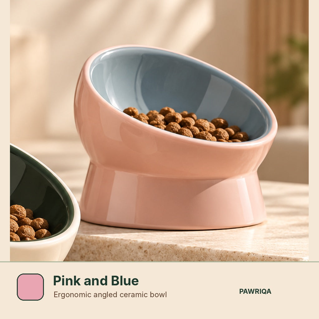 PAWRIQA ergonomic angled ceramic pet bowl Pink and Blue variant