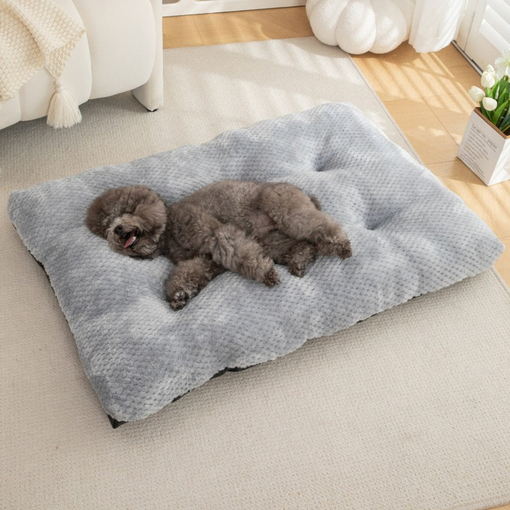 PAWRIQA CloudCushion tufted plush pet mat lifestyle image in Light Gray