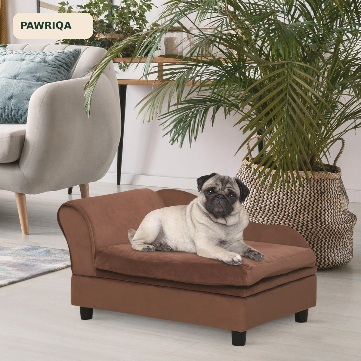PAWRIQA LoungeVault brown pet chaise sofa lifestyle image with pug
