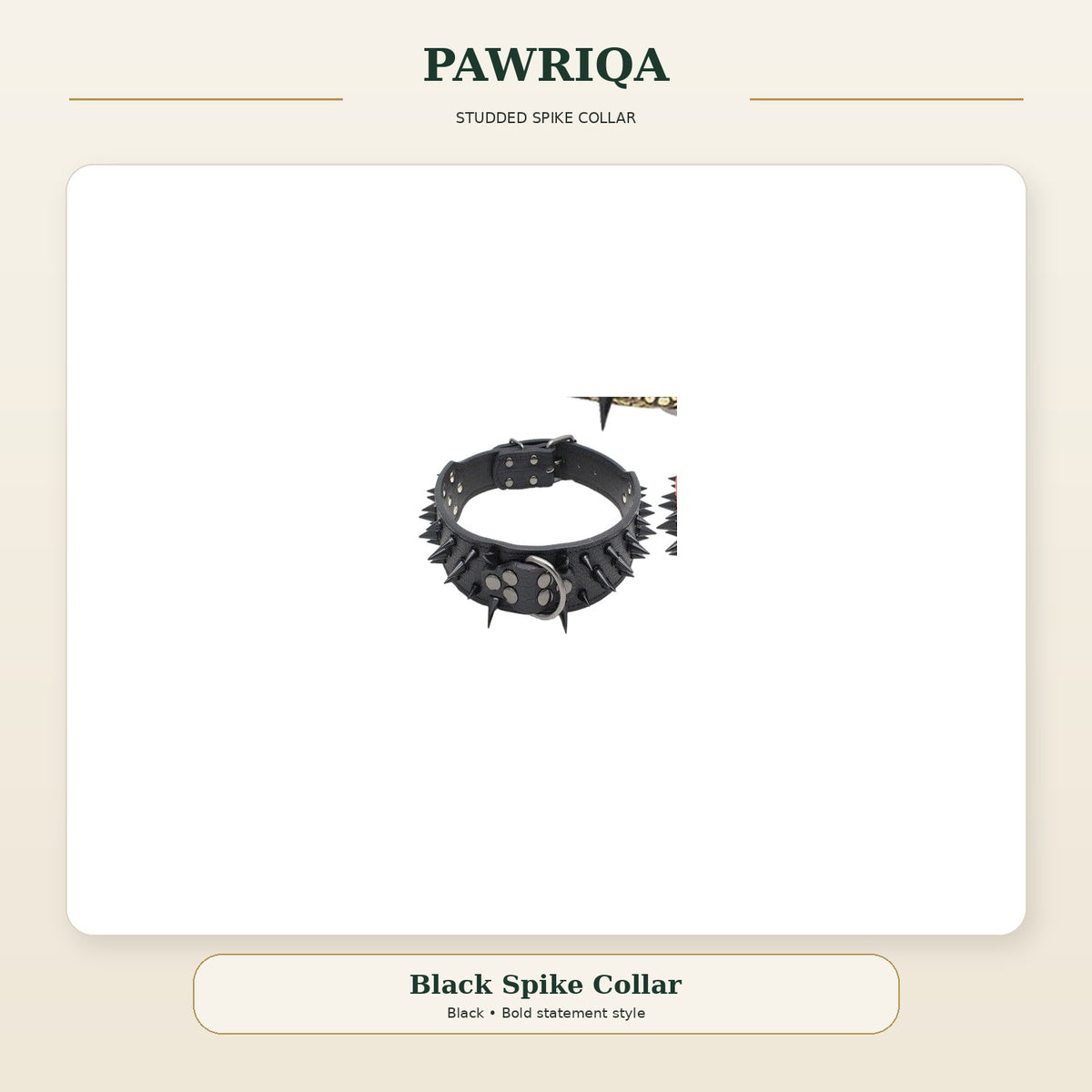 PAWRIQA black studded spike dog collar